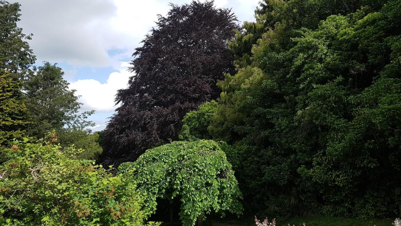 Bushy Park Historical Homestead Kai Iwi Екстер'єр фото